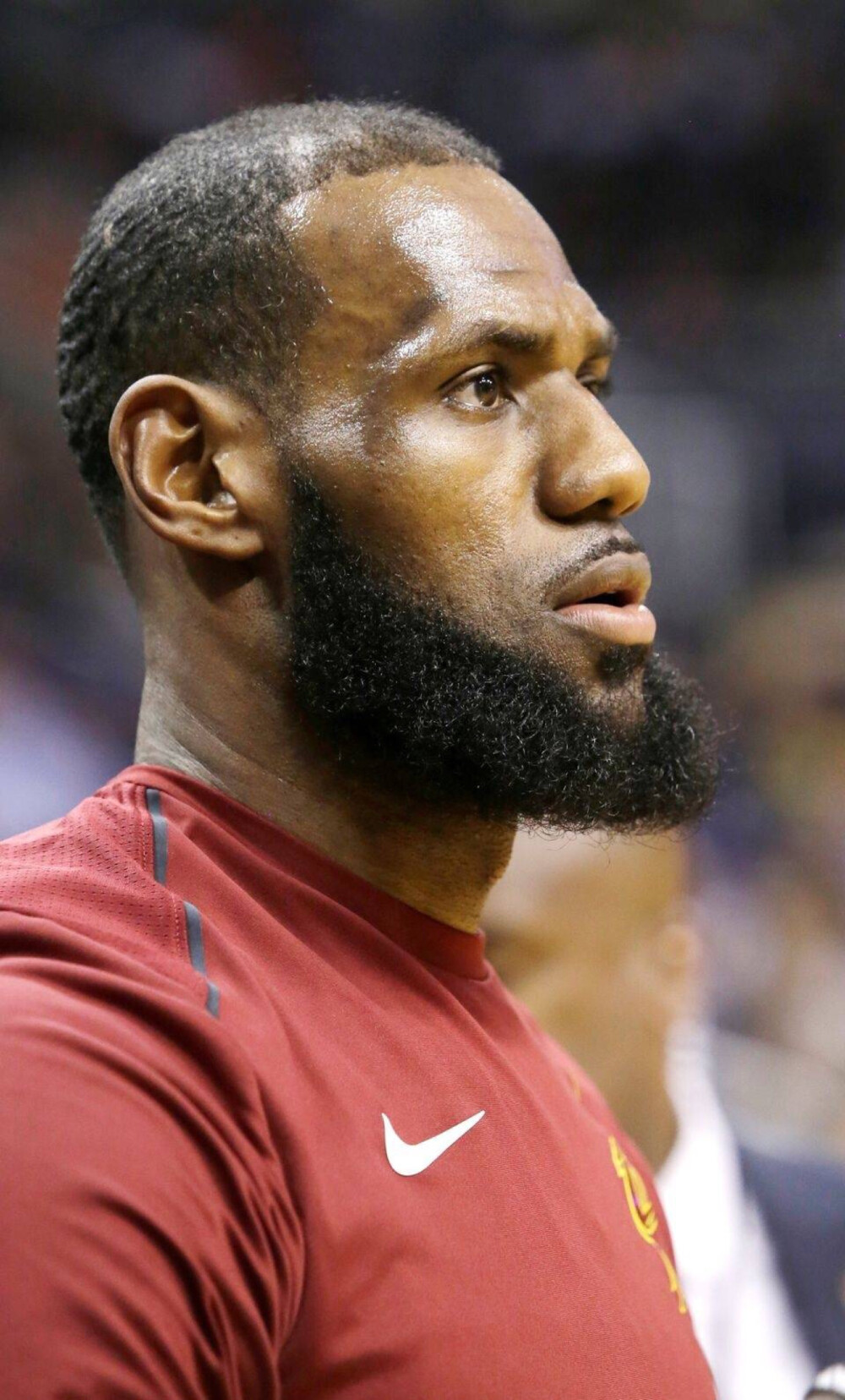 多明格斯 多明格斯